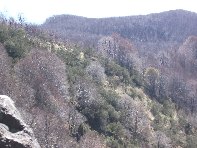 qua Rocca20100328 046